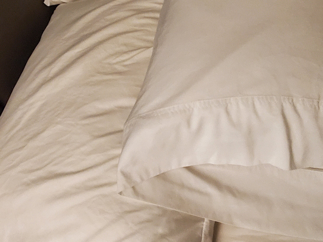 Tru by Hilton Greenville主图