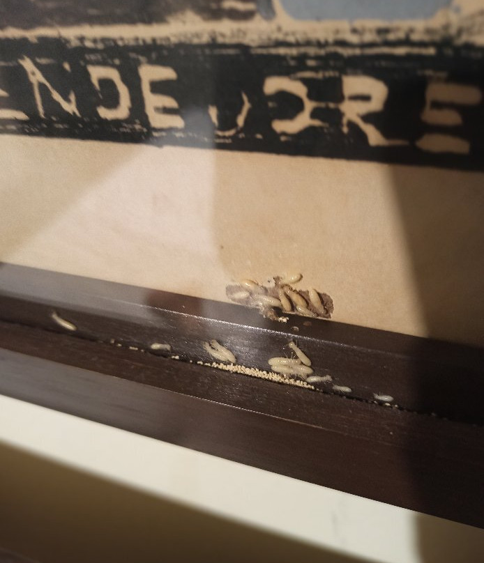 Hotel Pousada Sao Francisco主图