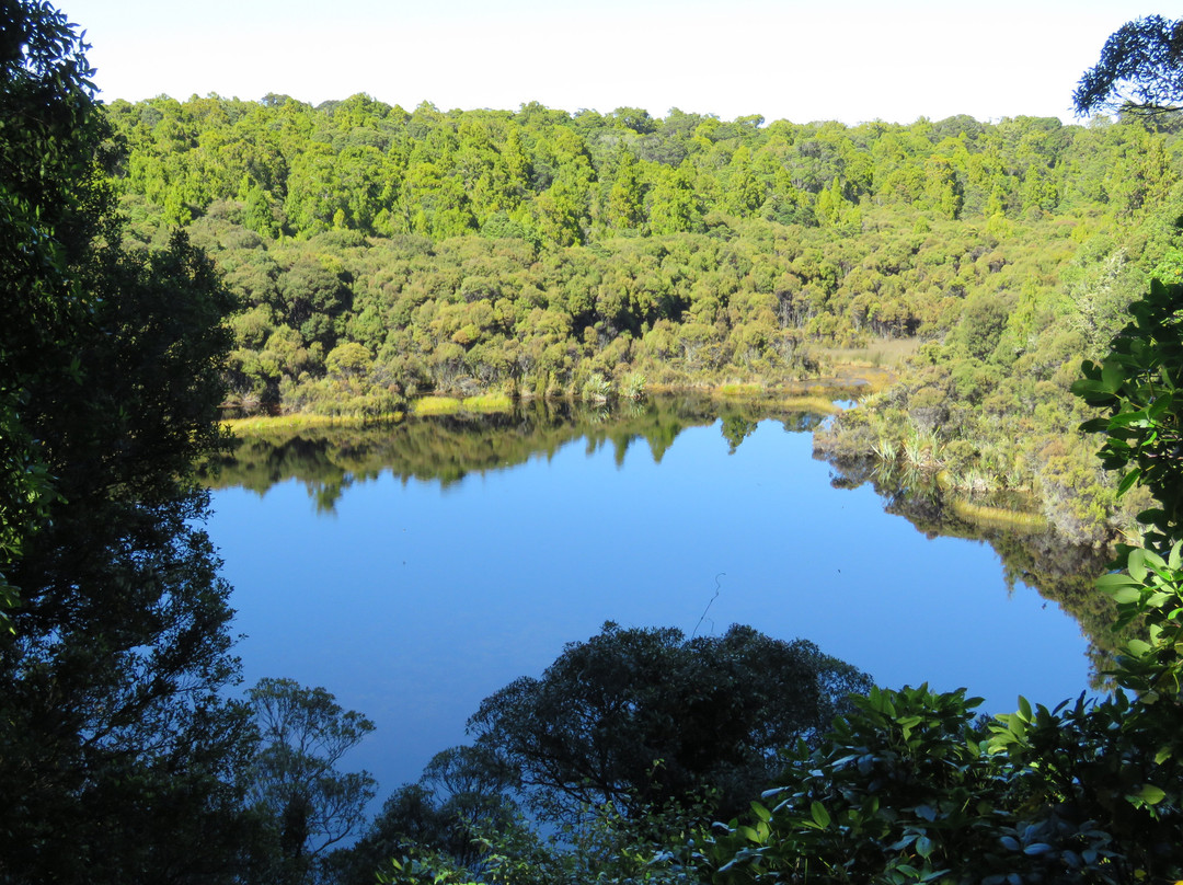 Lake Wilkie景点图片