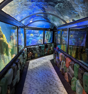 Radiant Fish World-科克斯巴扎尔必去景点