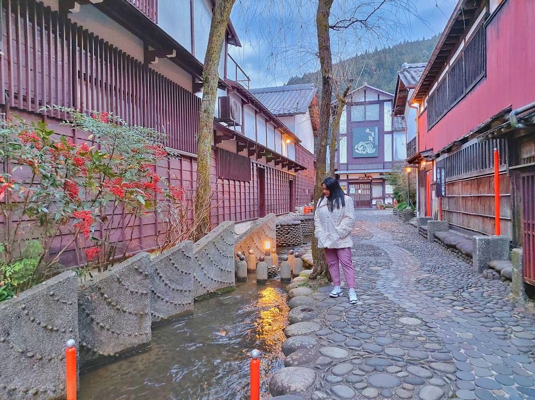 Yanaka Mizu no Komichi-郡上市必去景点