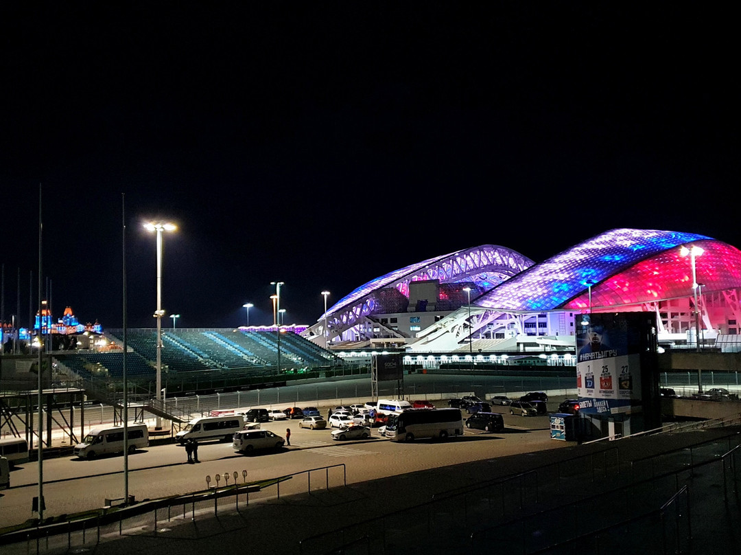 Fisht Olympic Stadium-艾德勒必去景点