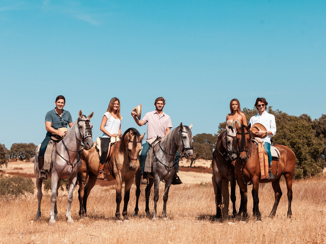 Vale do Manantio主图