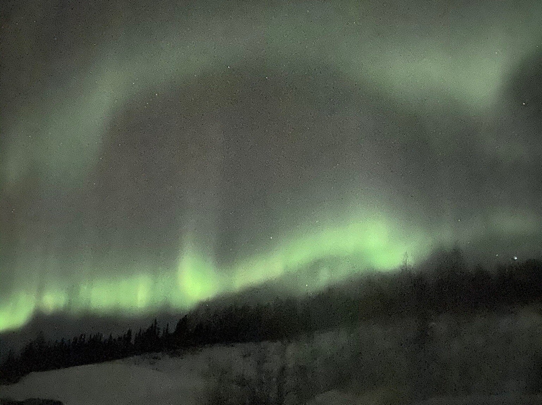 Airlink Shuttle and Tours-费尔班克斯必去景点