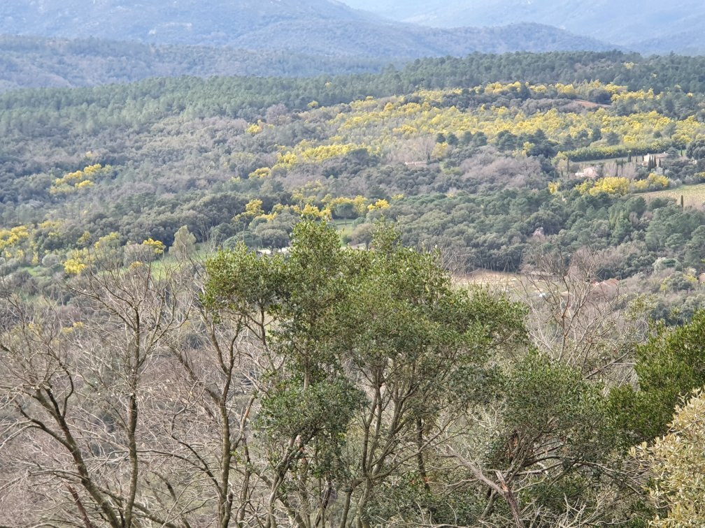 Rocher de Roquebrune景点图片