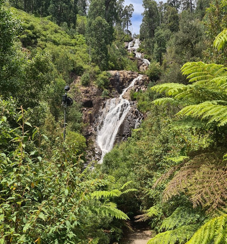 Steavenson Falls景点图片
