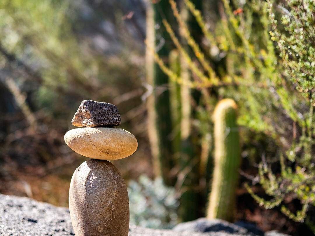 Rancho La Puerta主图