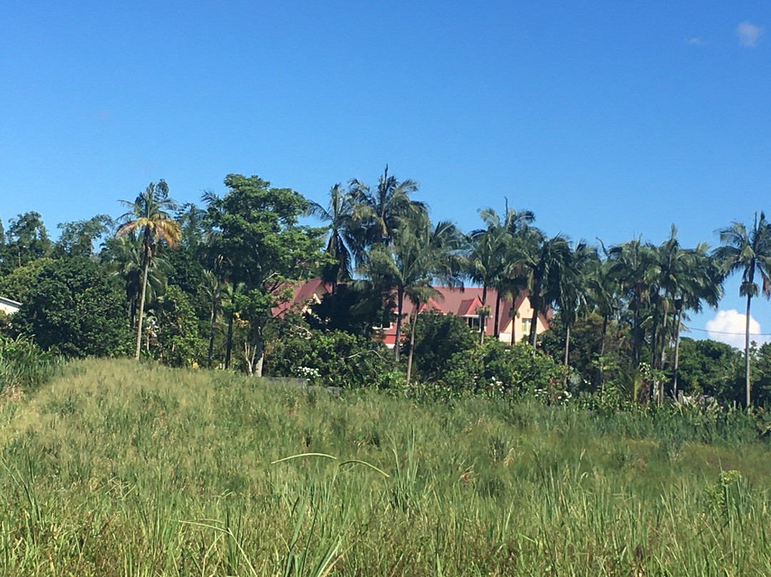 Auberge Du Desert主图