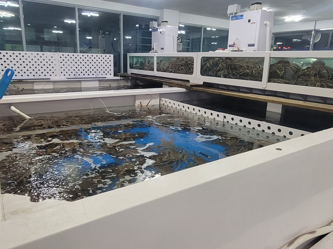 대포대게회직판장