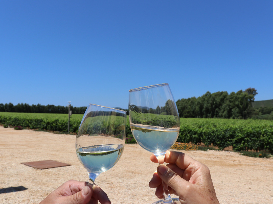 cantina rigàtteri-Santa Maria La Palma必去景点