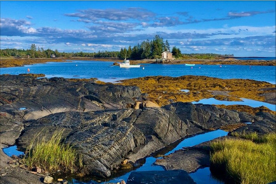 Seaweed Tours Inc-卢嫩堡必去景点