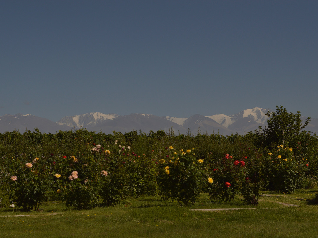 Casa De Huespedes Finca La Azul主图