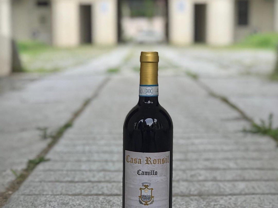 Casa Ronsil Wine-Chiomonte必去景点