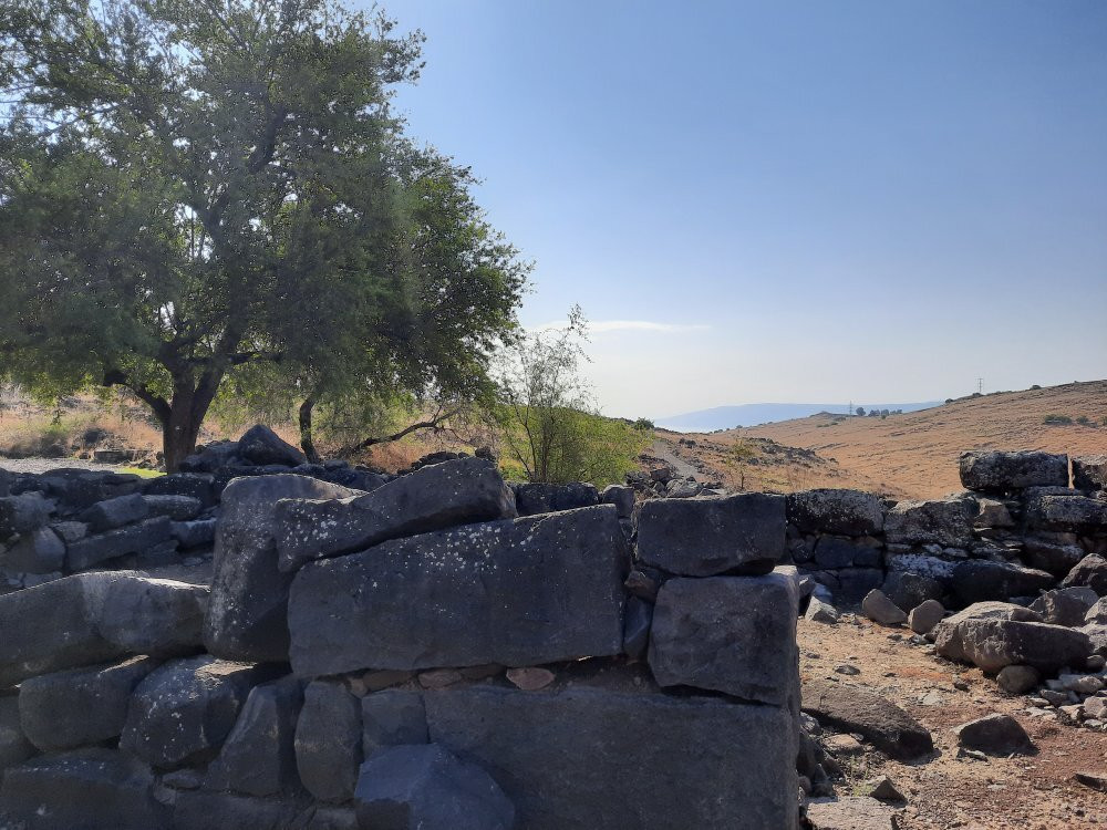 Korazim National Park-Capernaum必去景点