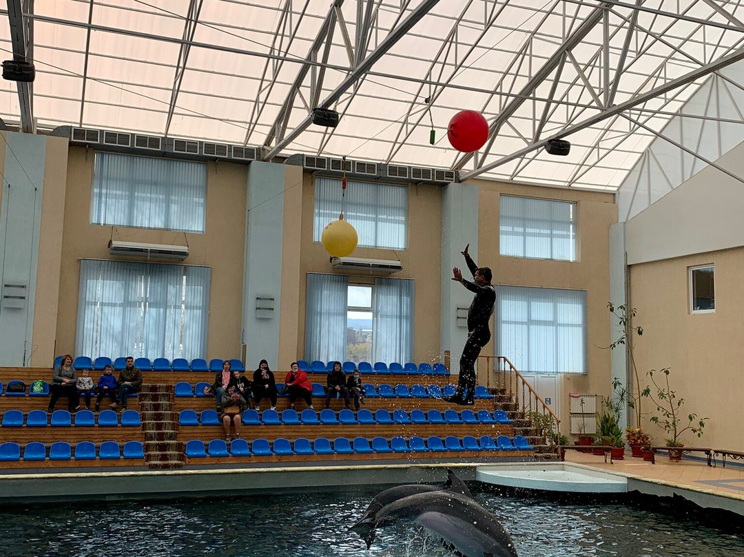 Kislovodsk Dolphinarium景点图片