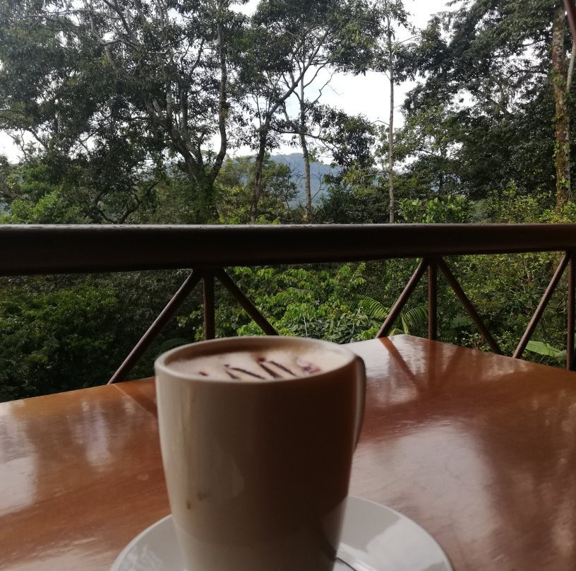 Nativo Tours-Tapachula必去景点