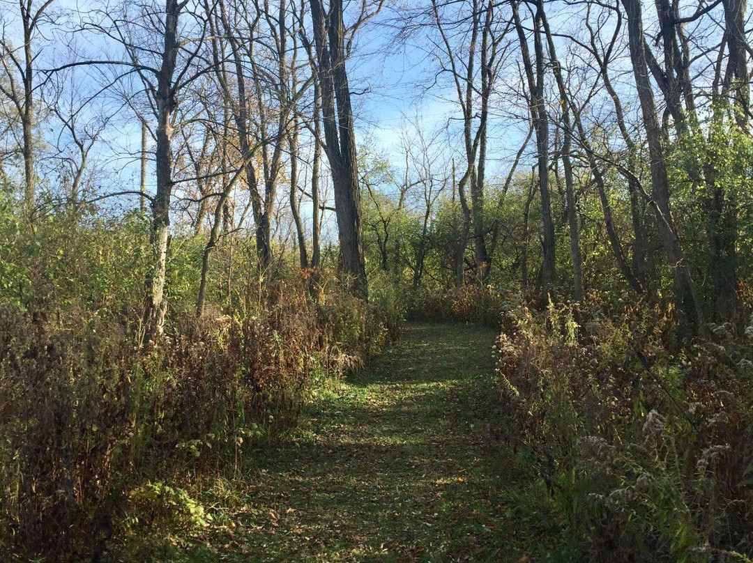 Sagawau Environmental Learning Center-Lemont必去景点