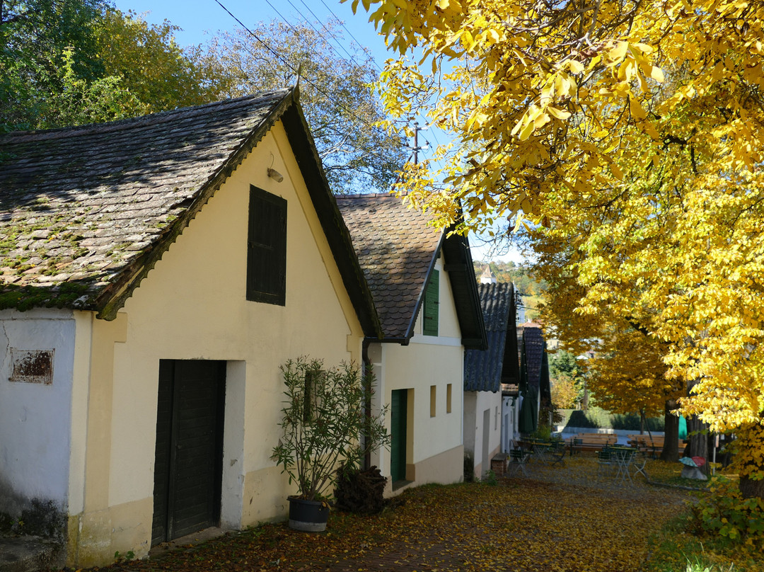 Kellergasse Oagossn景点图片