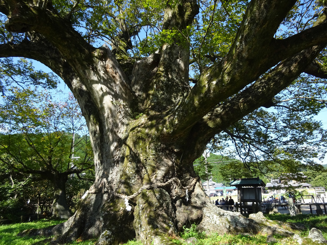 Nomano Okeyaki-能势町必去景点
