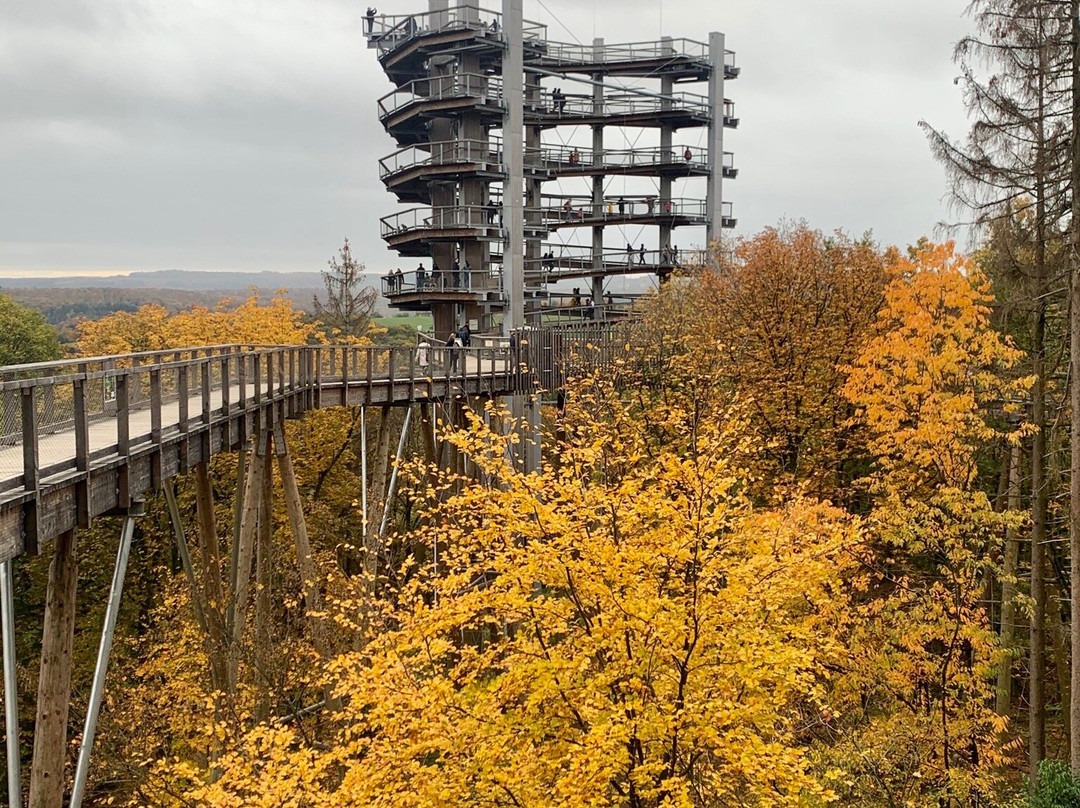 Treetop Path Saarschleife-Orscholz必去景点