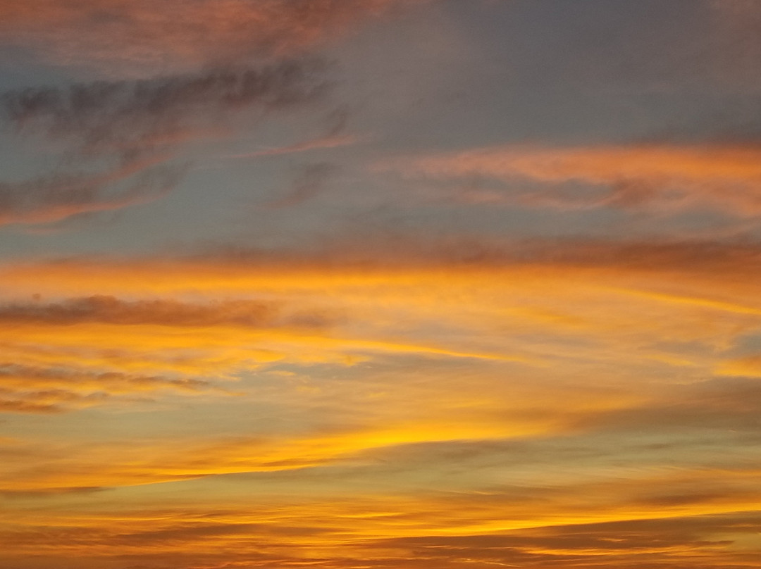 Carousel Suites主图