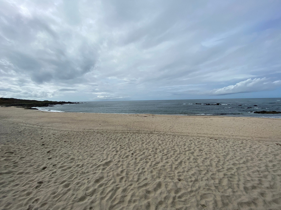 Praia Forte de Paçô景点图片