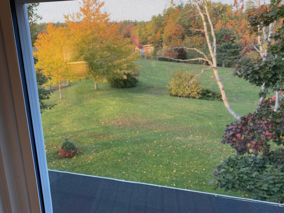 River Ridge Lodge主图