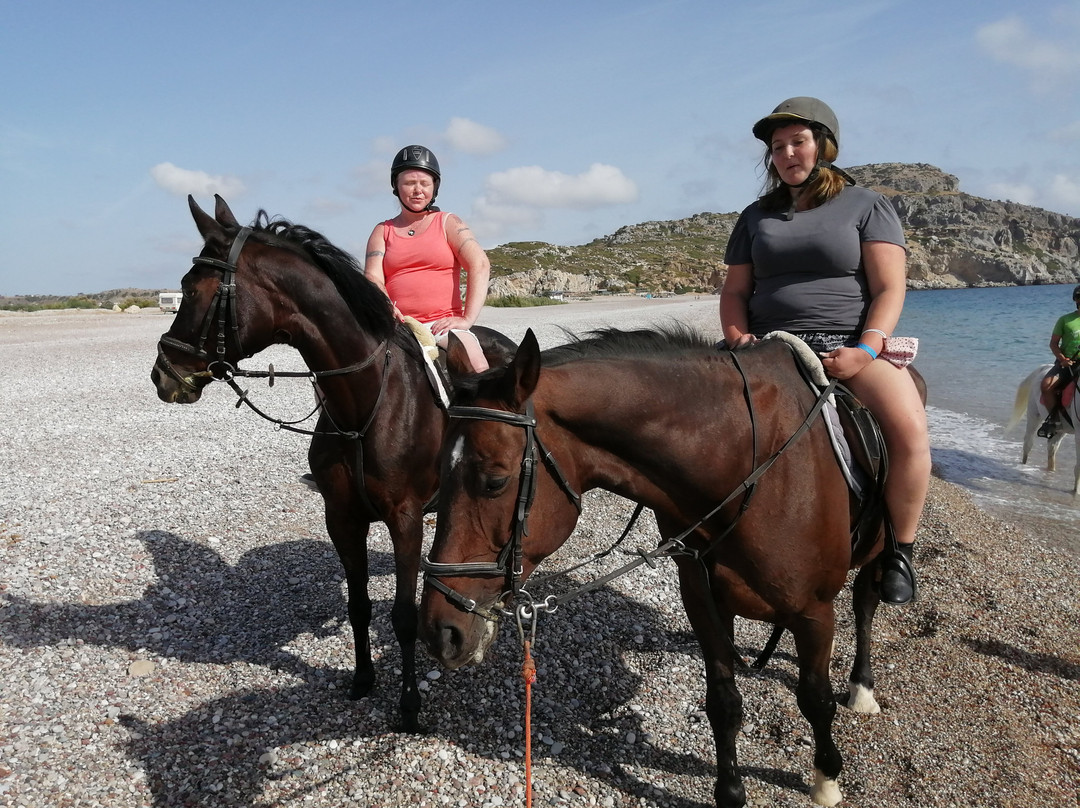 Horse Riding To The Beach-罗德城必去景点