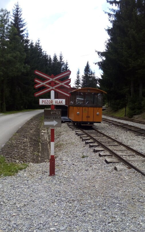 Orava Forest Railway-Oravska Lesna必去景点