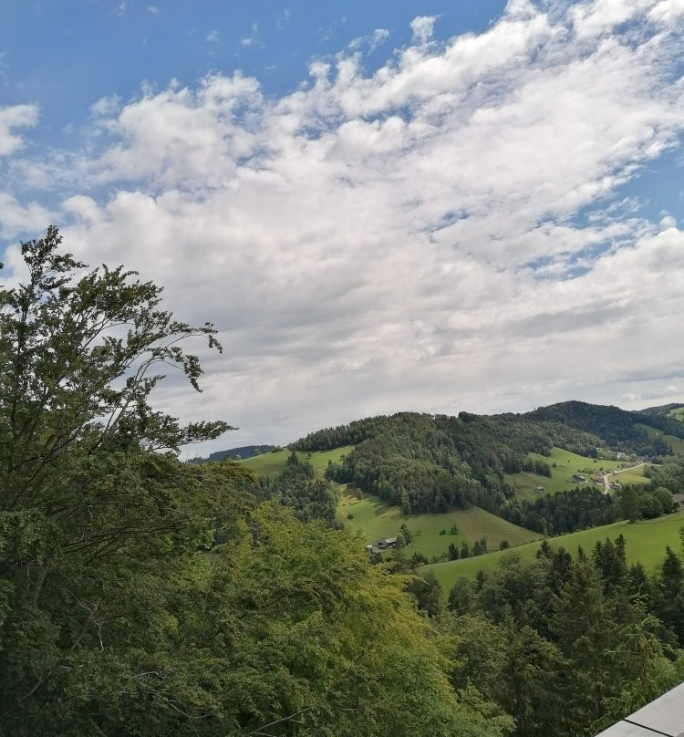 Baumwipfelpfad Neckertal景点图片