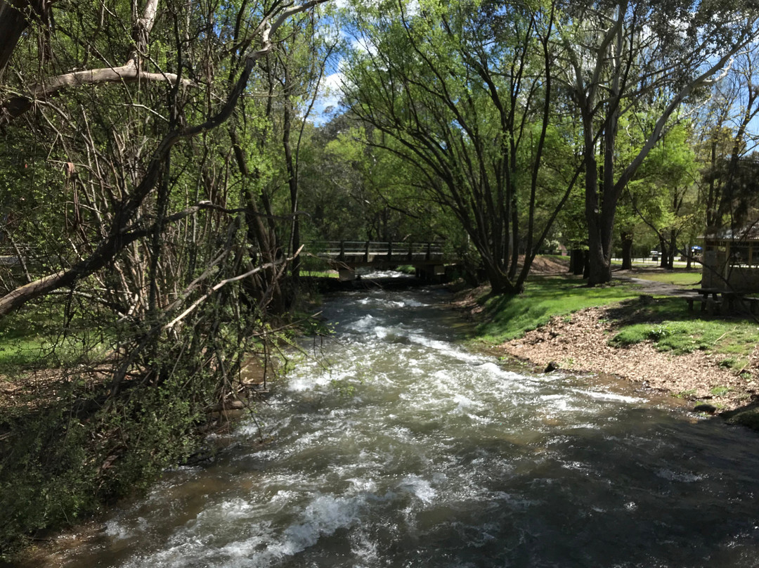 Tavare Park-Harrietville必去景点