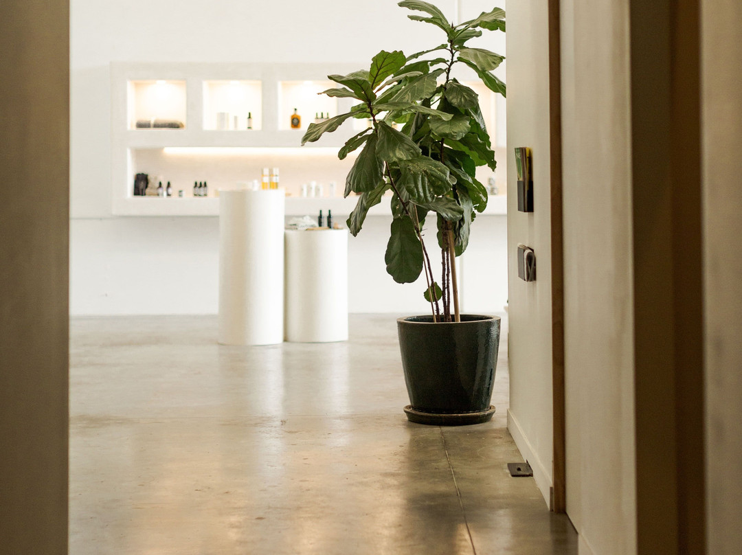 Nimbus & Co.-拜伦湾必去景点