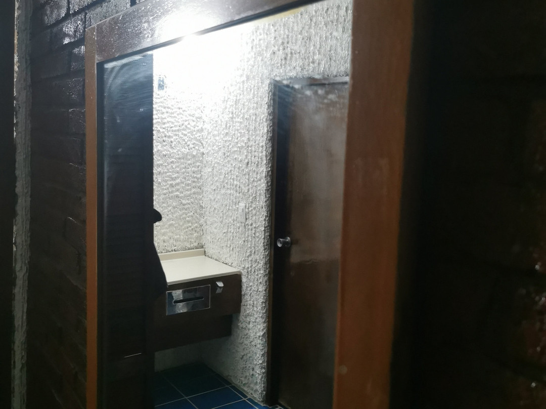 Hotel Plaza Palmas主图