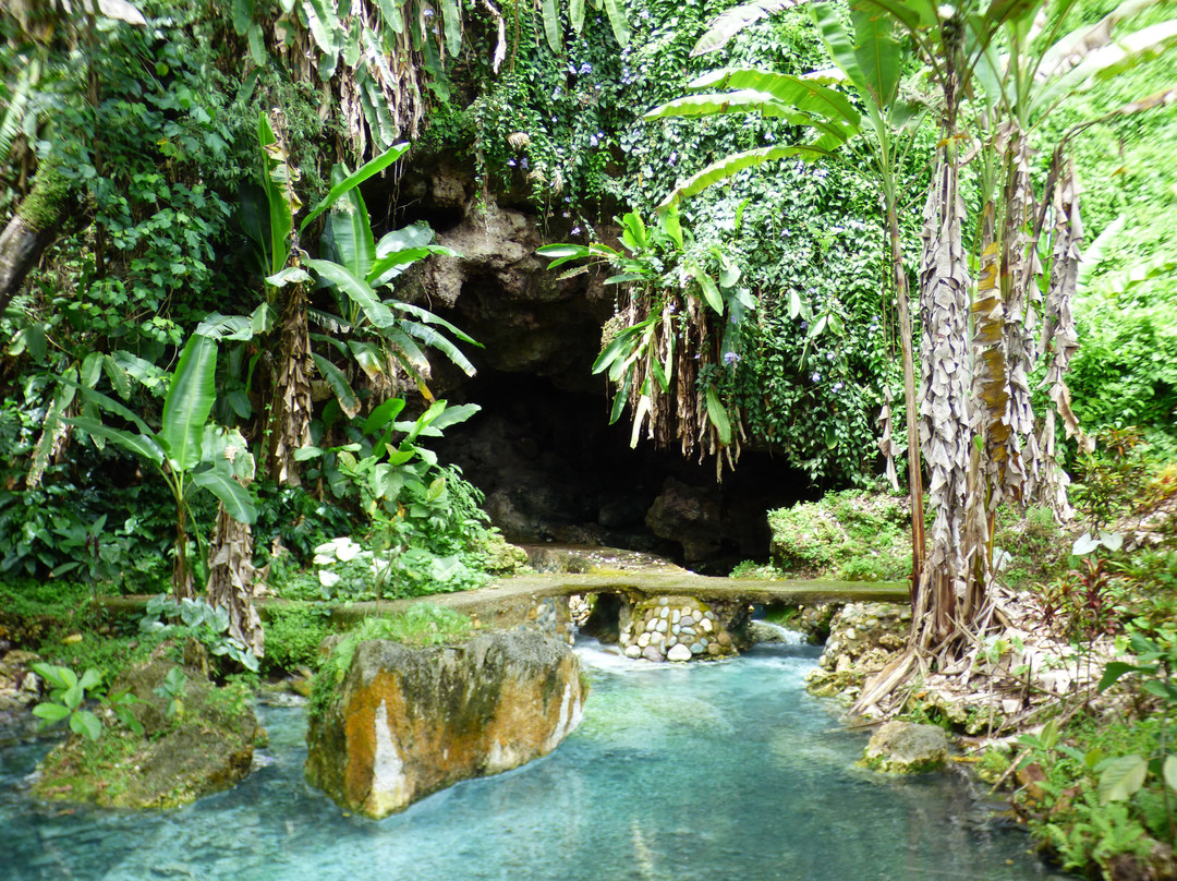 Balek Wildlife Sanctuary-Madang必去景点