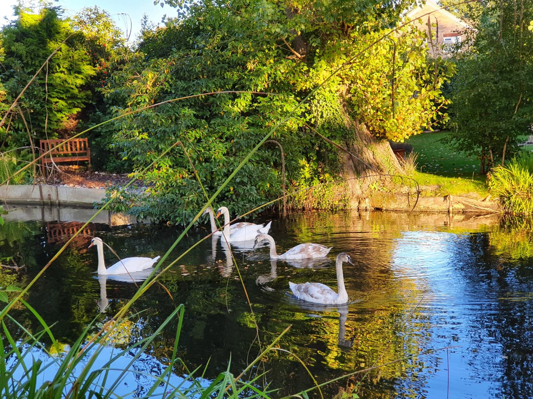 Basingstoke Canal景点图片