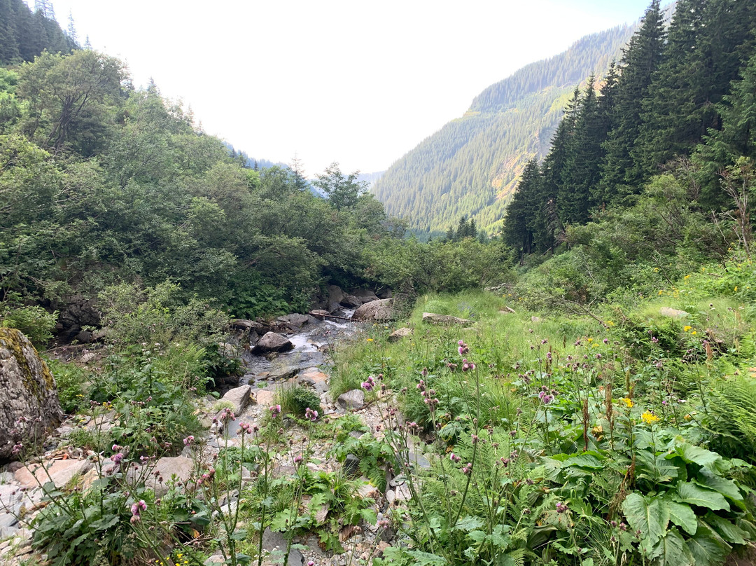 Balea Waterfall-Cartisoara必去景点