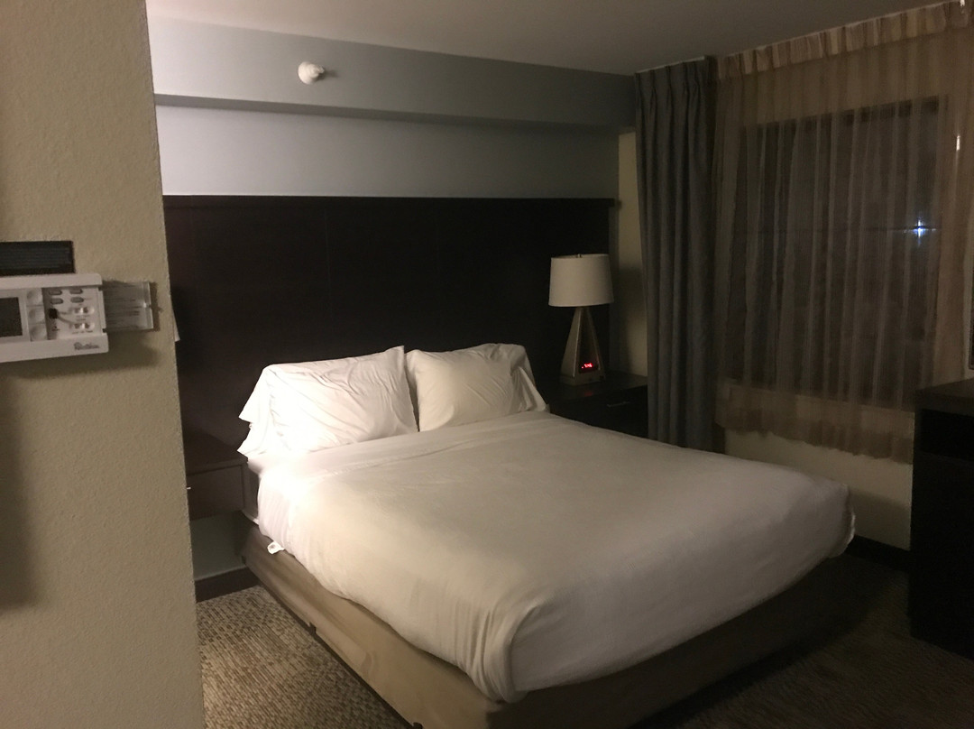 Staybridge Suites Rochester - Commerce Dr NW by IHG主图