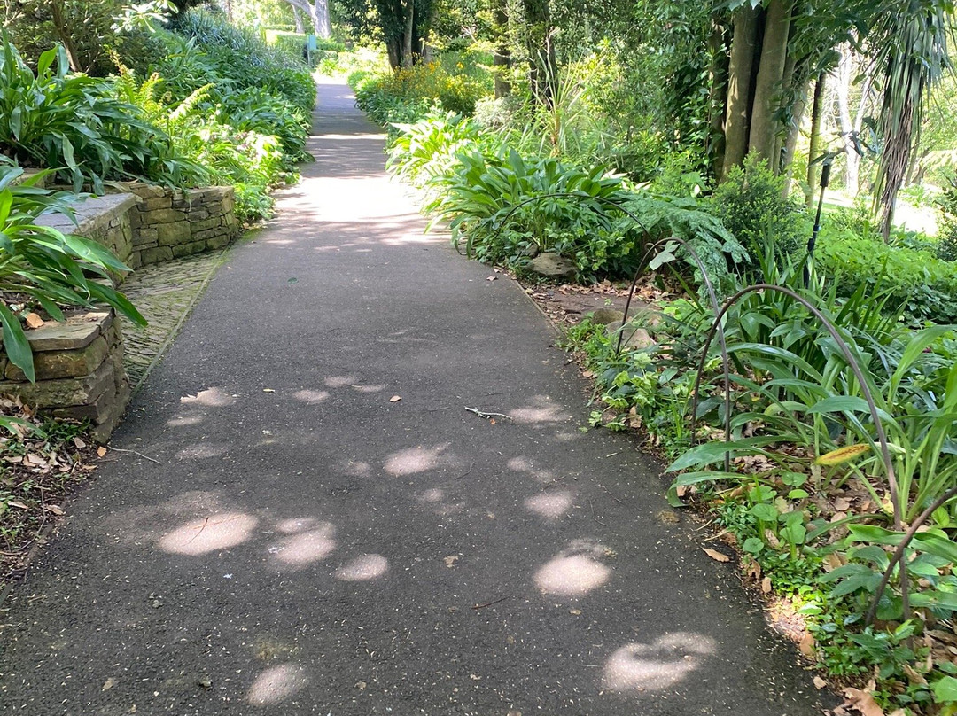 Wombat Hill Botanical Gardens-戴尔斯福特必去景点