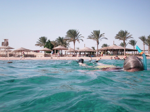 Got Your Guides-Safaga必去景点