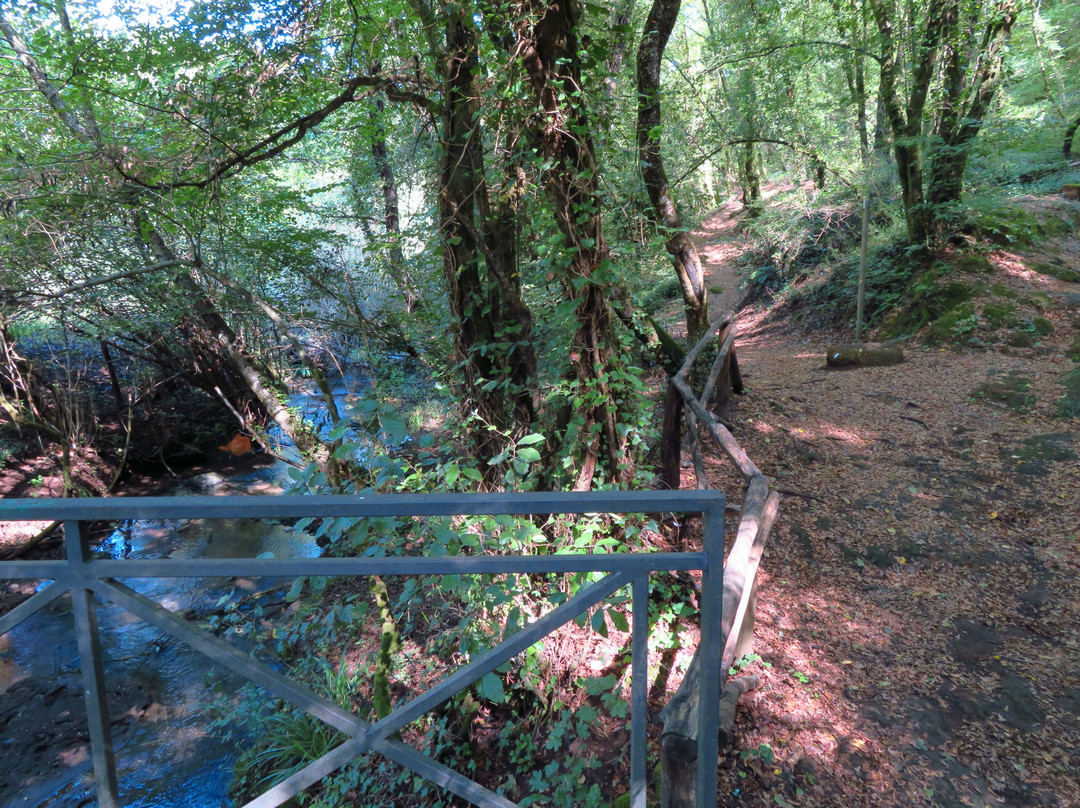 Cascata del Picchio-Nepi必去景点