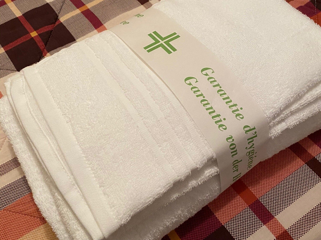 Albergo Ristorante Villa Svizzera主图