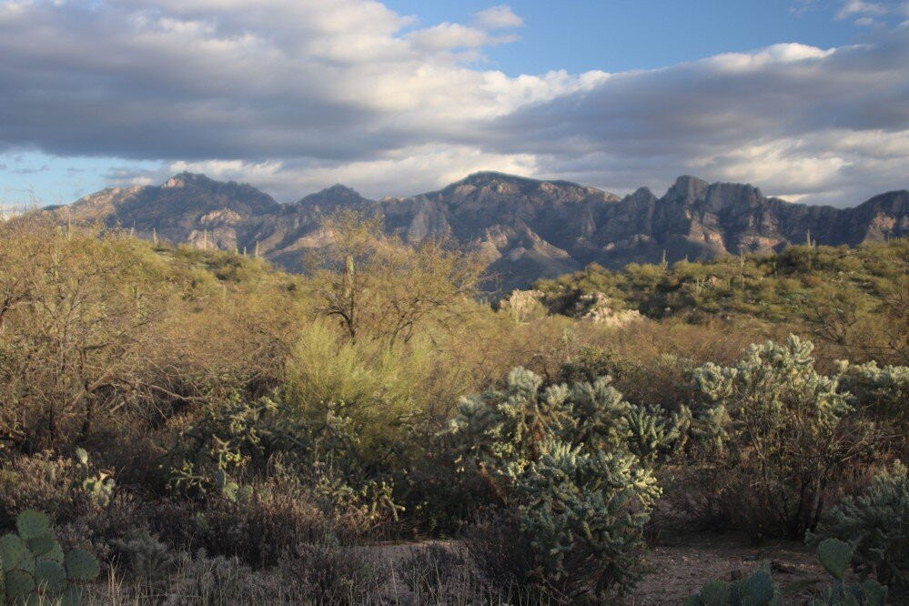 Honeybee Canyon Park-Oro Valley必去景点