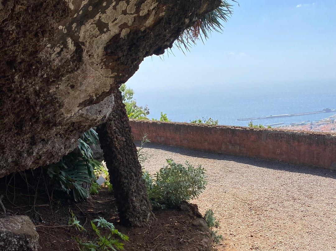 Madeira Botanical Garden景点图片