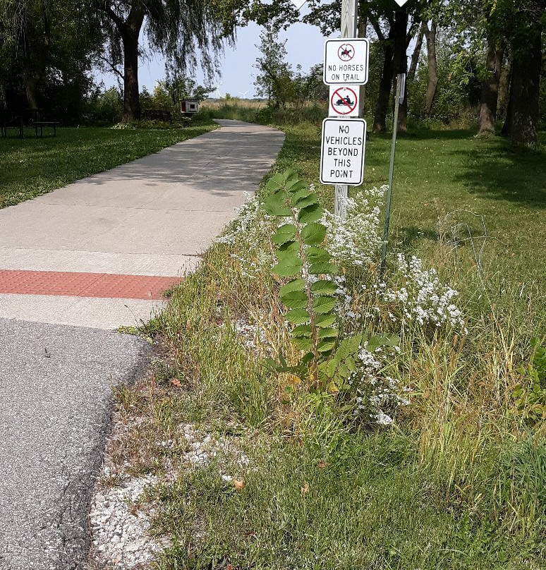 Wapsi-great Western Line (wgwl) Trail Trailhead景点图片