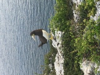 Cayman Brac Lighthouse-Cayman Brac必去景点