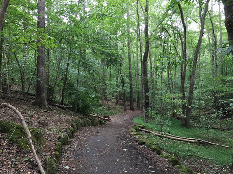 Settles Bridge Park-苏万尼必去景点
