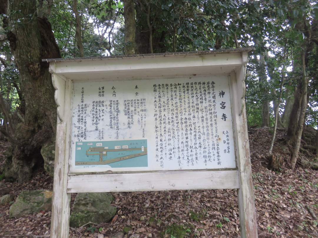 Jinguji Temple-小滨市必去景点