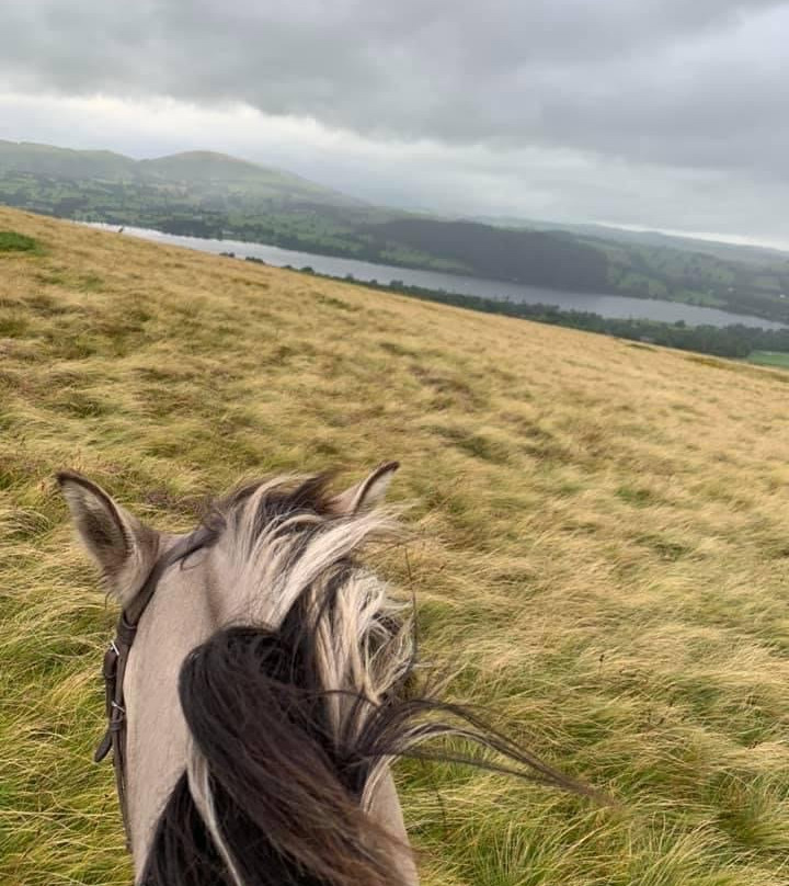 Pony Trekking Ullswater景点图片