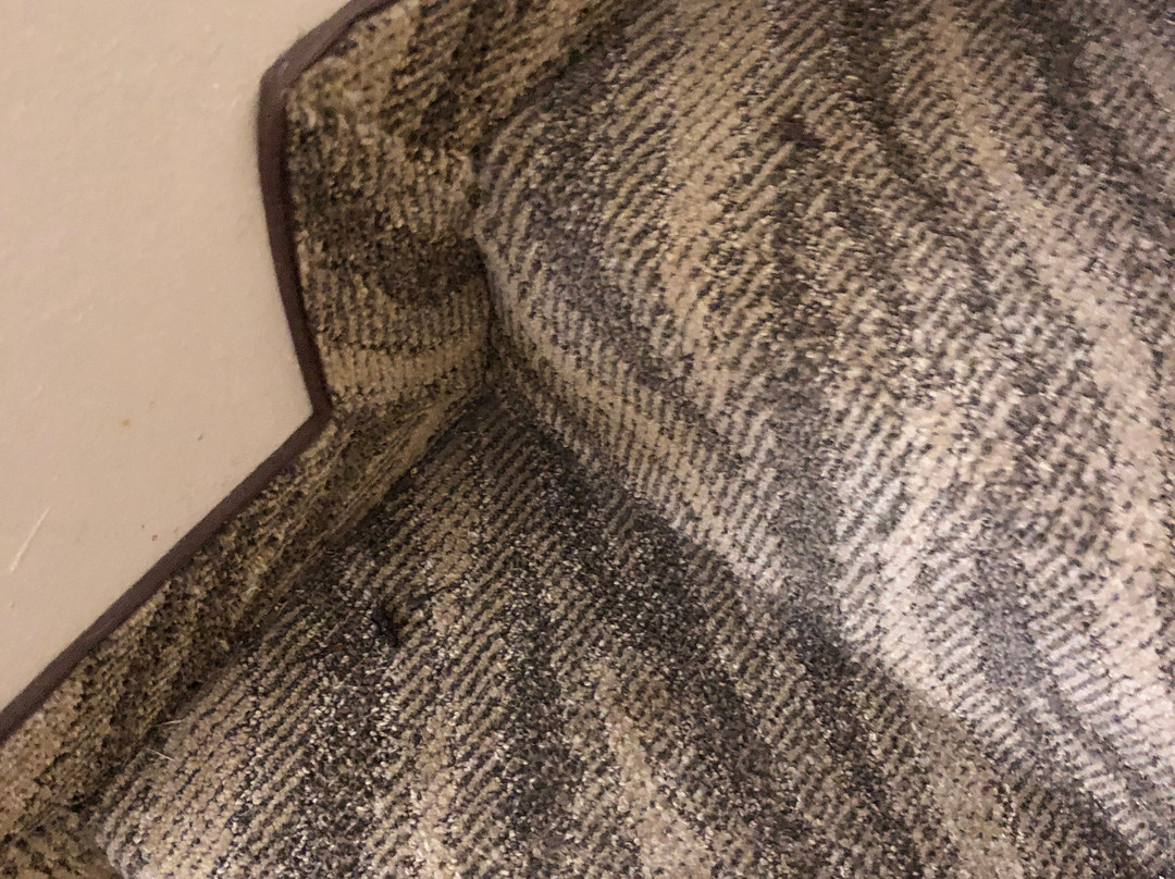 La Quinta Inn & Suites by Wyndham Glen Rose主图