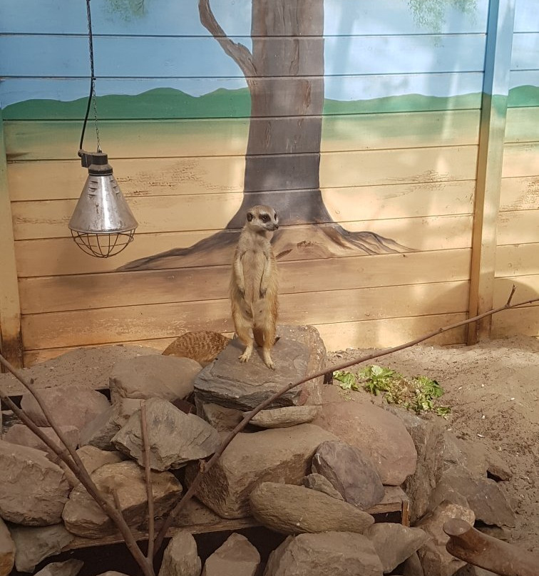 Texel Zoo-特塞尔必去景点